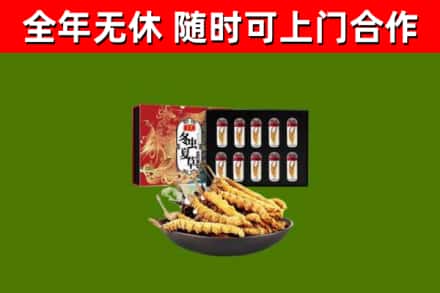 汝城回收冬虫夏草价格